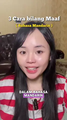 Cara bilang maaf dalam bahasa mandarin, kalian tau apa lagi? Komen ya 😁 #bahasamandarin #belajarmandarin #learnchinese 