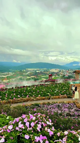 Chào thu Đà Lạt #dalat #tourdalat #sanmaydalat #thoitietdalat #chuyencuanang 