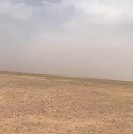 مساء الخير