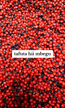 #spirituality #spiritualtiktok #mwangaza💡 #tiktoktanzaniantiktokkenya🇹🇿🇹🇿🇰🇪🇰🇪🇰🇪 #tanzaniantiktok🇹🇿 