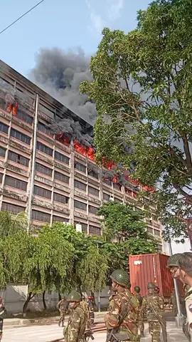 আদম টেক্সমিল ভয়াবহ আগুন লেগেছে 