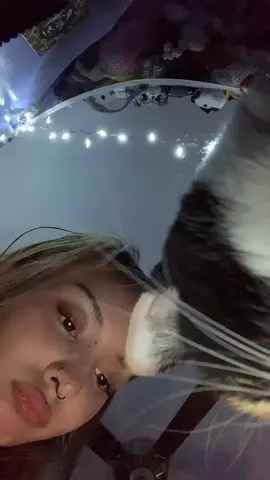 im just tryna scroll🧍🏻‍♀️ #ilovemybf #cat #ilovemycat 