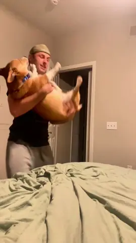 Overreacting Dog 😭🐶#fyp #dog #dogs #doglover #dogsoftiktok 