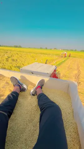 #farminglife #fieldservicemechanic #harvesting #foryoupageofficial 