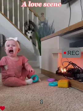 Dog alway protect baby in critical moment #baby #dog #protect #Love #tiktok