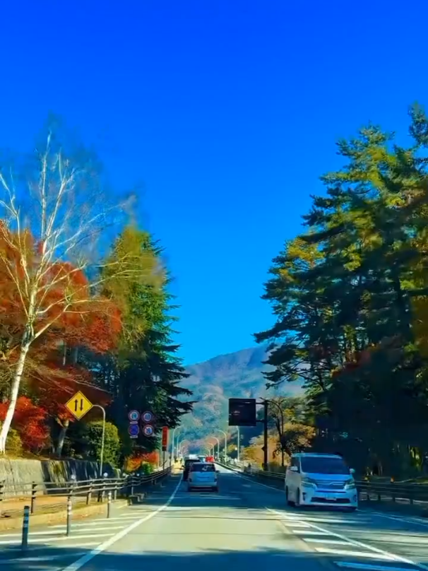 #tiktokviral #equestrian #tiktokpakistan #foruyou #tiktokpoll 