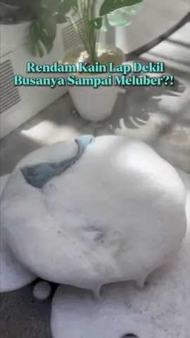 jangan buang kain lap lagi ya!! 🙂‍↕️  #wiselieindonesia #gajiansale #clothstainremoverpembersihpakaian #clothstainremover #pembersihnoda 