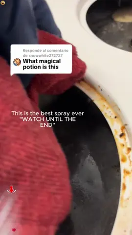 Ovens, pans, grills—Grease Cleaner cleans them all! 🥳 No more multiple products! 🚫 #cleaninghacks  #CleanTok   #cleaning  #degreaser  #housecleaner