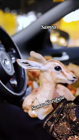 #مجرد________ذووووووق🎶🎵💞 #تشاد🇹🇩_قطر_🇶🇦_الكويت🇰🇼السعودية🇸🇦🇱🇾 #موسورو_بحرالغزال_تشاد🇷🇴 #غزال_التيك_توك 