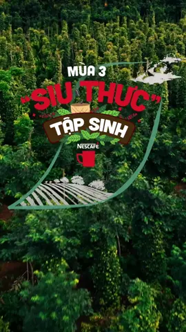 Thân gửi “Siu Thực” Tập Sinh mùa 3, chúng mình là “Siu Thực” Tập Sinh mùa 2, từng là những ứng viên giống như bạn bây giờ. Và chính “SIU THỰC” TẬP SINH đã cho chúng mình một hành trình tưởng không “thực” mà thật không tưởng. Giờ đến lượt bạn rồi! Hãy nhanh tay và mạnh dạn ứng tuyển mùa 3 để khám phá trải nghiệm “siu” đặc biệt đang chờ đón nhé. 👉Truy cập đường link sau để tìm hiểu thêm và đăng ký ngay ngay nhé: https://www.nescafe.com/vn/siu-thuc-tap-sinh  #NôngTrạiBềnVữngNESCAFÉ #NESCAFÉPlan #SiuThựcTậpSinh #Mùa3