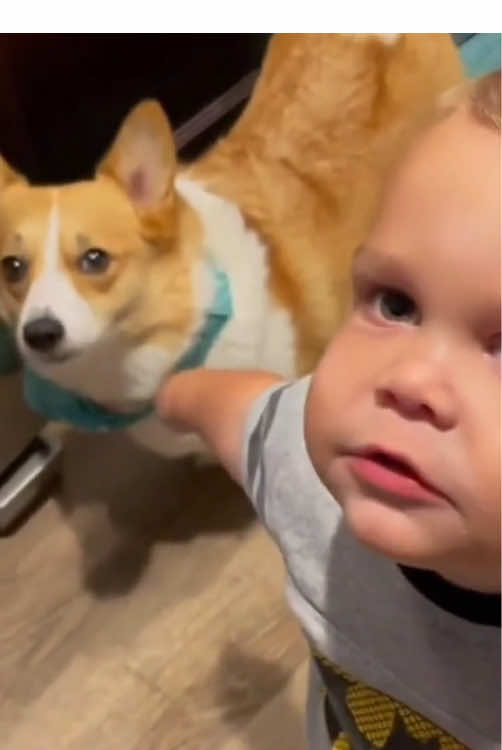 Best friends 🥰🥰🥰#baby #dog #pet #Love #lovestory #friends #doglover #cute #cutebaby #dogsoftiktok #foryou #usa🇺🇸 