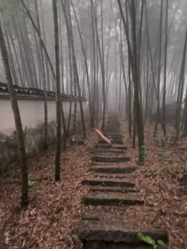 #lucuyentiensinh #duhihongtran 