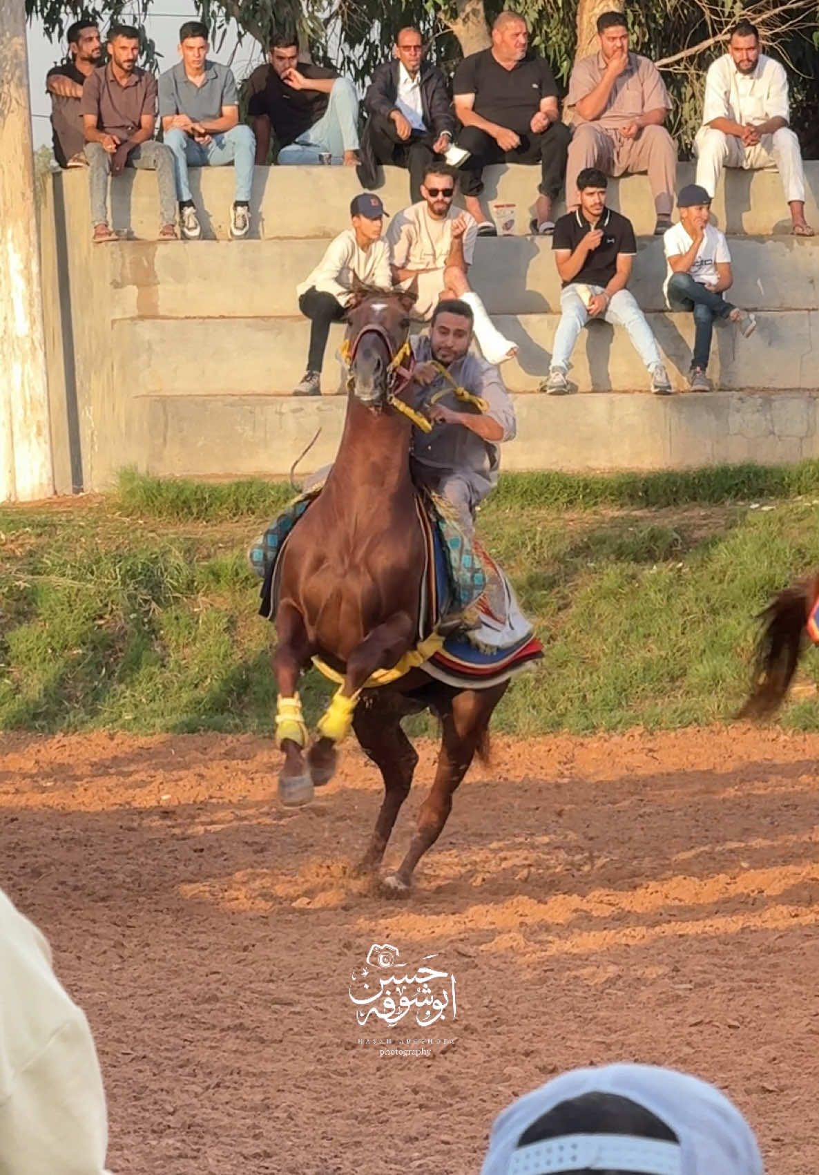 تبـارك اللـــّه 🐎❤️#عدسة_حسن_ابوشوفة📷🥇 #تبارك_الله #خيل_وخياله🐎  @آلَفــــــآرقــــــهِ69✊💚  @ابوزبيدة للسجاد  @﮼ابوشوفة  🇱🇾✌🏻🇵🇸 
