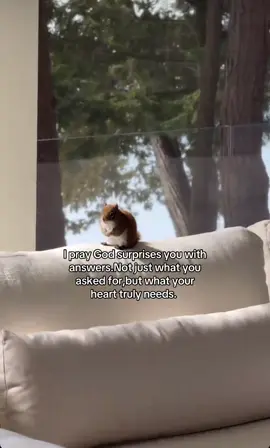 #creatorsearchinsights #foryoupage #fyp 