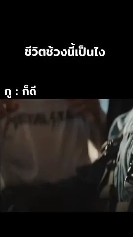 ดีก็เหี้ยละ#มีม #ตลก #ไร้สาระ #ไทย #มีมตลก 