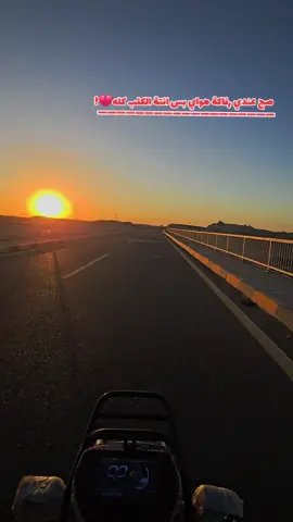 #مشاهير_تيك_توك 