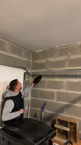 Une migale dans le garage 😱🤯