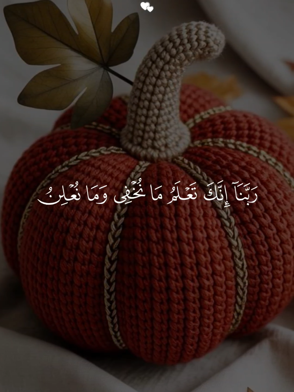 تلاوة خاشعة 🤍 القارئ ماهر المعيقلي أيات من سورة إبراهيم 🤍🌿 #قران  #قرآن  #quran  #fuoryo  #fyp 