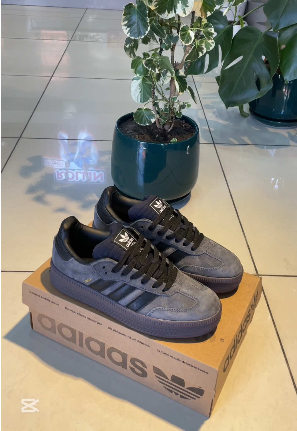 Size:39-42 [ Restock ] #rollinkicks #adidassamba #adidas #fyp