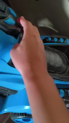 Parrots act like tiny chaotic humans #parrot #parrotsoftiktok #funnyvideos #funnyanimals #pet 