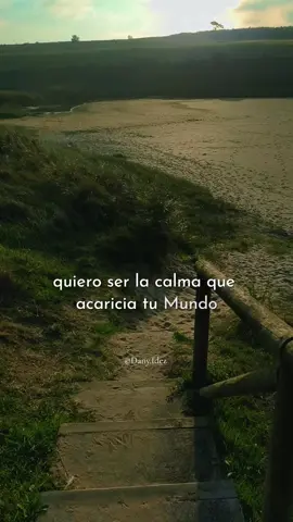 *Solo tú ❤️💫 #music #beele #❤️ #🐻 #2025 @BEÉLE 