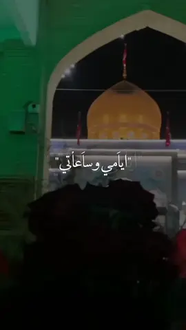 نبارك لكم ولادة بطلة كربلاء😊🧡#صعدو_الفيديو #اكسبلور؟ #اكسبلورexplore #ياعلي_مولا_عَلَيہِ_السّلام #ابا_الفضل_العباس 