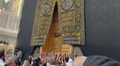 MEN HAR KUN 1000 MARTA AYTIB SAVOL JAVOB SIZ JANNAT SOʻRAYOBMAN MAN RASULULLAH S,AV QUSHNI QIL ROBBIM DEYAPMAN,SHAROITIM ZUR NARSA SURAMAYMAN😍