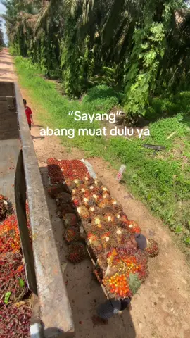 #fyp #kulisawit #pemuatsawit 