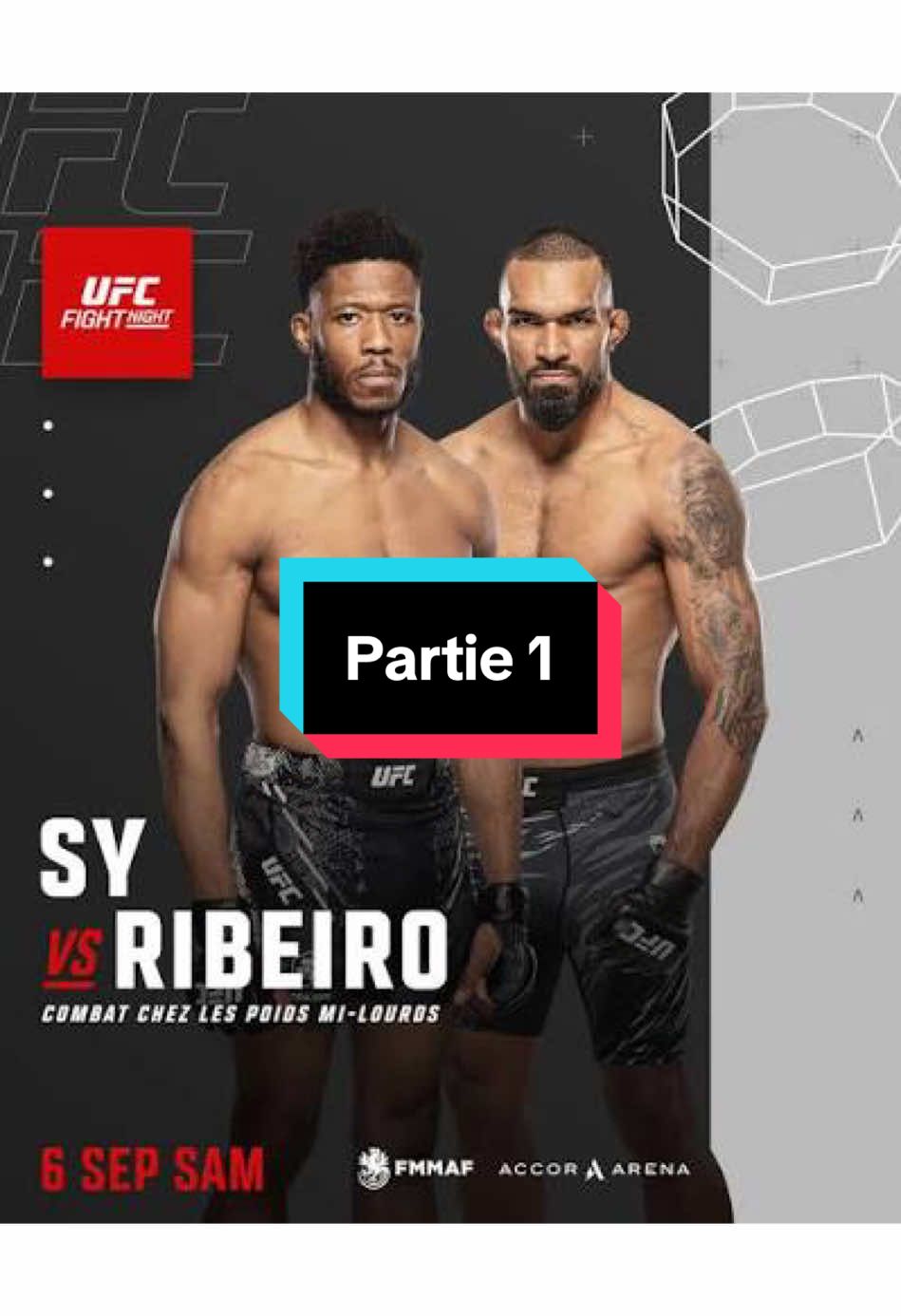 Partie 1 : Sy🇫🇷 🆚 Ribeiro🇧🇷 #fyp #UFC #oumarsy #tko 