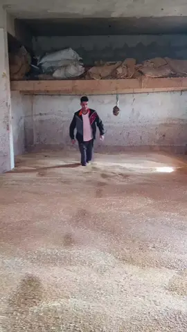 فلاح حاجة مغنية🇲🇦❤️🇩🇿