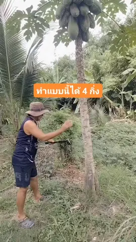 วิธีตัดทำสาวมะละกอ#วิธีตัดทำสาวมะละกอ#บักนัดคันทรีฟาร์ม 