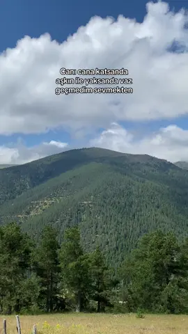 Kormam inan ölmekten 🌲💚#karadeniz #karadenizşarkıları #karadenizli #rize #trabzon 