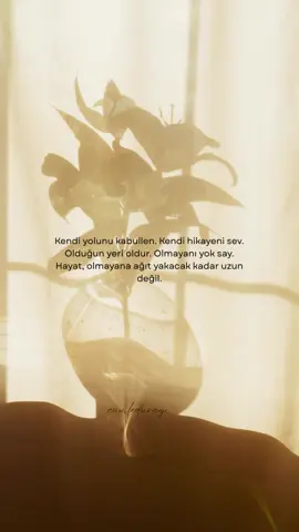 Kendi yolunu kabullen. Kendi hikayeni sev. Olduğun yeri oldur. Olmayanı yok say. Hayat, olmayana ağıt yakacak kadar uzun değil.