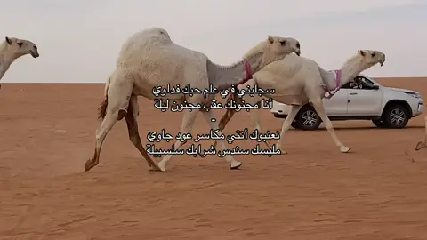 سجليني في عالم حبك فداوي :  تصوير @فهد الكثيري .  #fyp #اكسبلورexplore #بدون_موسيقي #ارشيف #عتيبه #explore #قصيد #ابن_جدلان #قطامات 