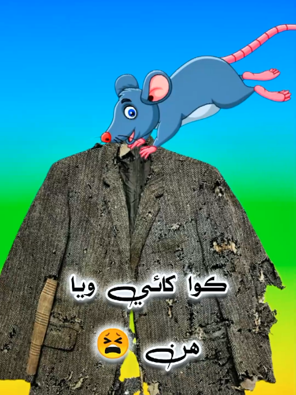 #Capcut ھڪ سڃائي نٿي ڇڏي 😜😜😂😂😂😂🤣🤣🤣😅😅😅#sindhifunnynews😂😂 #foryou #foryoupage #trending @MF 