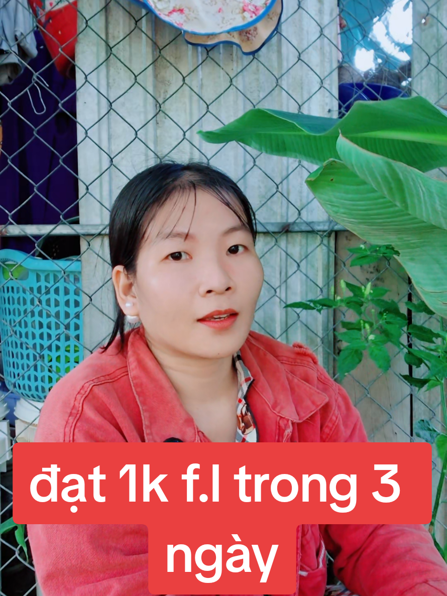 cách đạt 1k f.l trong 3 ngày #thuylieu #tuongtac #chiasekinhnghiem #xaykenhtiktok #bantiepthilienket 