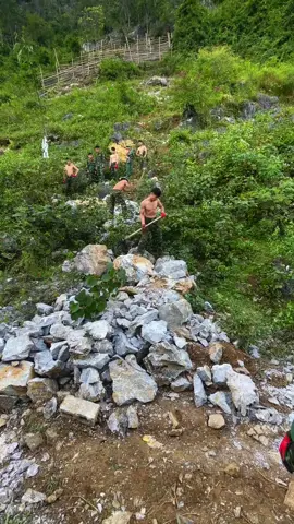 Anh trâu Việt Nam#xunghuongtiktok&bodoivietnam