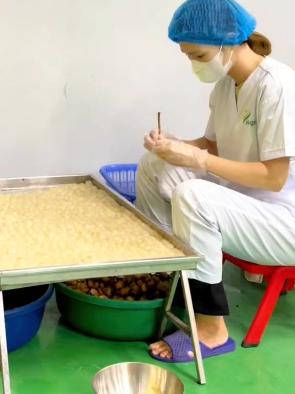 Mỗi lát nhãn khô là một giọt ngọt lành của sức khỏe 🍯#longnhan #longnhansaykho #longnhanhungyen #dacsanvietnam #doanvat