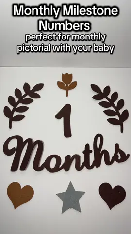 perfect for your monthly pictorial for your baby #monthlymilestone #monthlybabyphotoshoot #monthlymilestone 