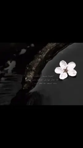 جزء 4 الحياة مليه بالحجارة #مجرد________ذووووووق🎶🎵💞 #لايك_متابعه_حركة_الاكسبلور❤🦋explorer #اكسبلورexplore❥🕊🦋💚❤ #يعادت_نشر🔃____♕ #صلوا_على_رسول_الله🤲🕋 