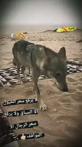 #مجرررررررد_______ذووووووووق💞💞 #عبارات_جميلة_وقويه😉🖤 #لايكات 