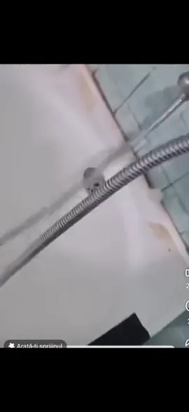 #meseriasiidepetiktok 