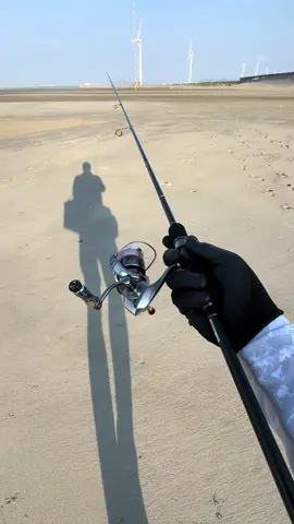 seasik inikah maen ajigame #fishing #stella #yamagablanks #fishingaddict #creatorsearchinsights 