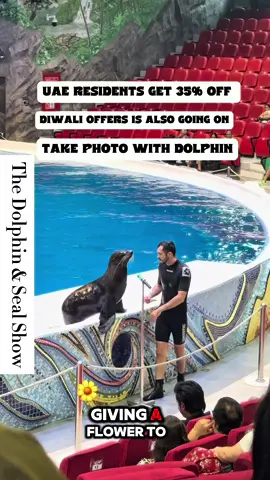 Dive into the magic at @dolphinariumdubai! Enjoy spectacular Dolphin & Seal Shows, fun-filled games, and memorable family moments this Diwali. @dolphinariumdubai = Tickets from only AED 29! UAE Residents enjoy up to 35% OFF with Emirates ID. Book online to save more and skip the queue! Let the lights, laughter, and dolphins make your Diwali truly special - www.dubaidolphinarium.ae #dolphinshow #dubai #kidsfu #afforadlable 