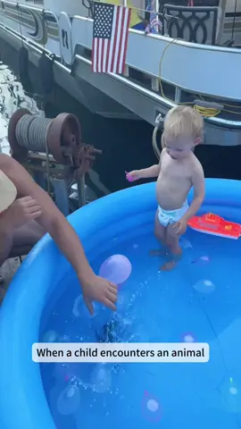 When children encounter animals#funny #kids #animals #kidsoftiktok #funnyvideos #funnytiktok #cute #foryou #fyp 