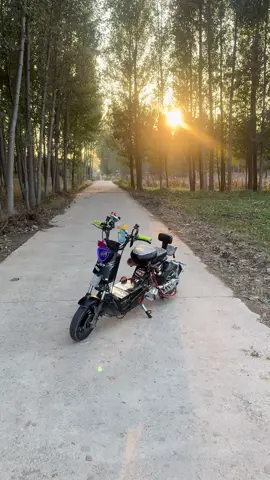 lãi việt chuồng trâu, nguyễn thắng chuồng bò #xuhuong #ilovetiktok 