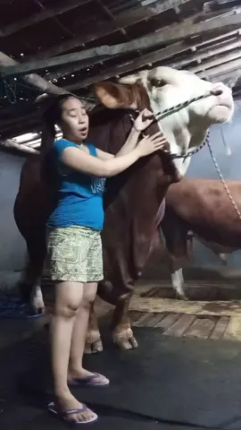 pasti juara lagi ..bismillah