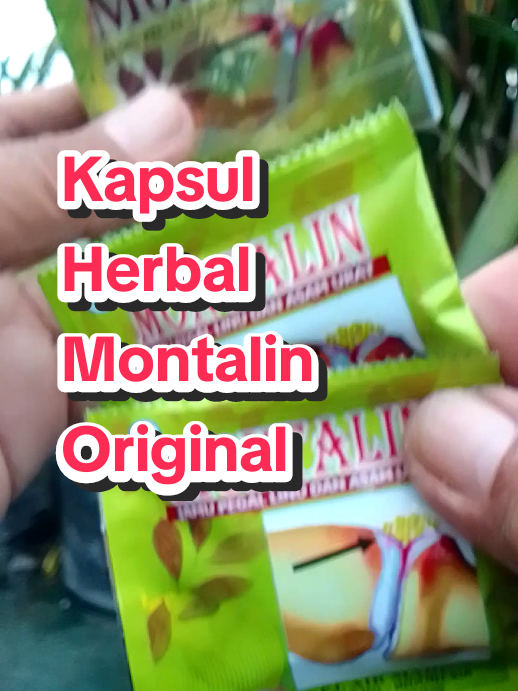 Kapsul Herbal Montalin Original #kapsul#herbal#montalin#original 