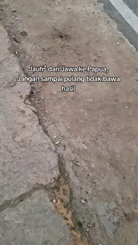 #bismilahfypシ❤️ #anakrantau  #papuastory #papuatiktok  #pedalamanpapua #jawastory🥀 #fyppapua #fypage #storytime #foryoupage 