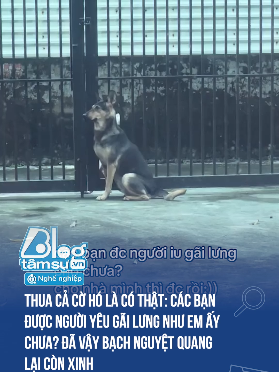 Đáng yêu vậy #discovery #blogtamsu #xuhuong #btsmedia #tiktoknews #funfact #viral #haihuoc #dangyeu #cho